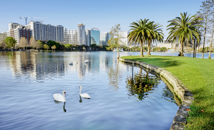 Florida Financial Advisros Orlando FL